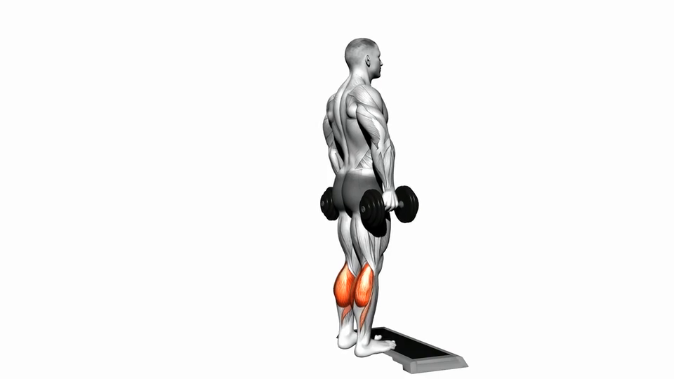 Standing Calf Raise
