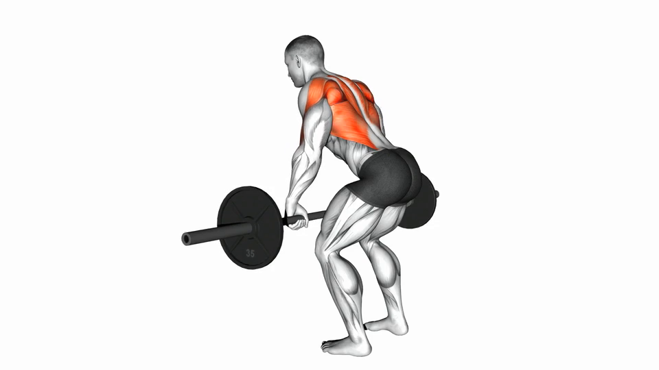 Bent Over Row