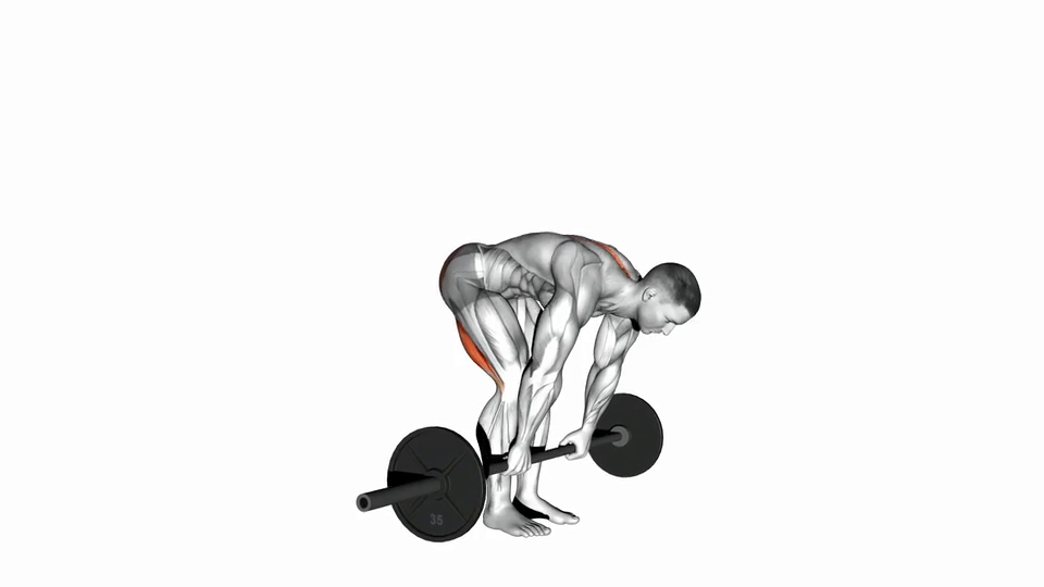 Barbell Stiff Legged Deadlift