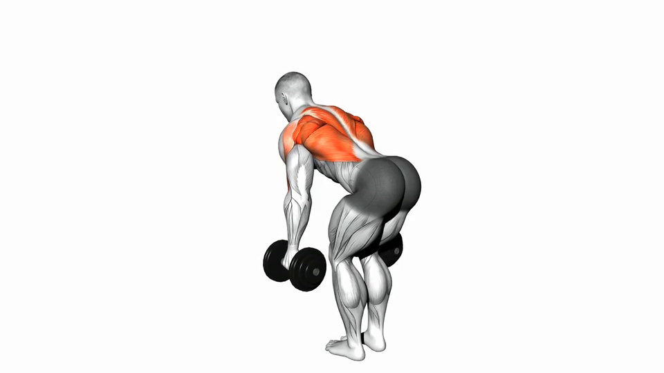 Bent Over Two Row