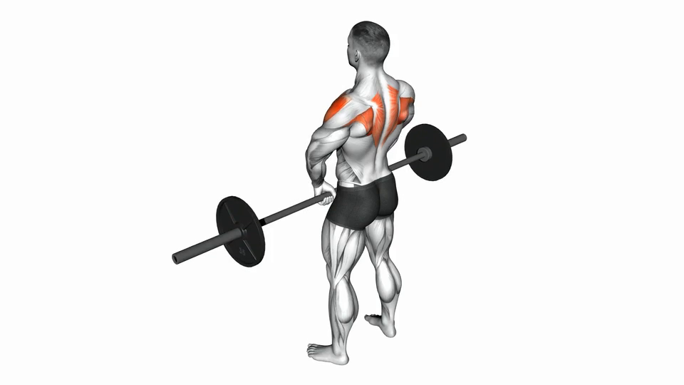 Barbell Upright Row