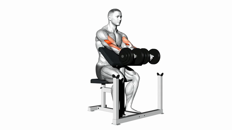 Two Arm Preacher Curl