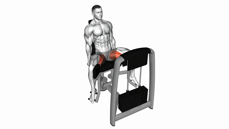 Hip Adduction
