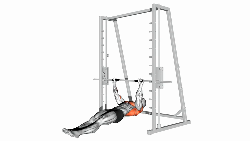 Inverted Row With Straps