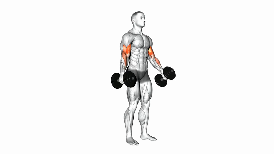 Bicep Curl