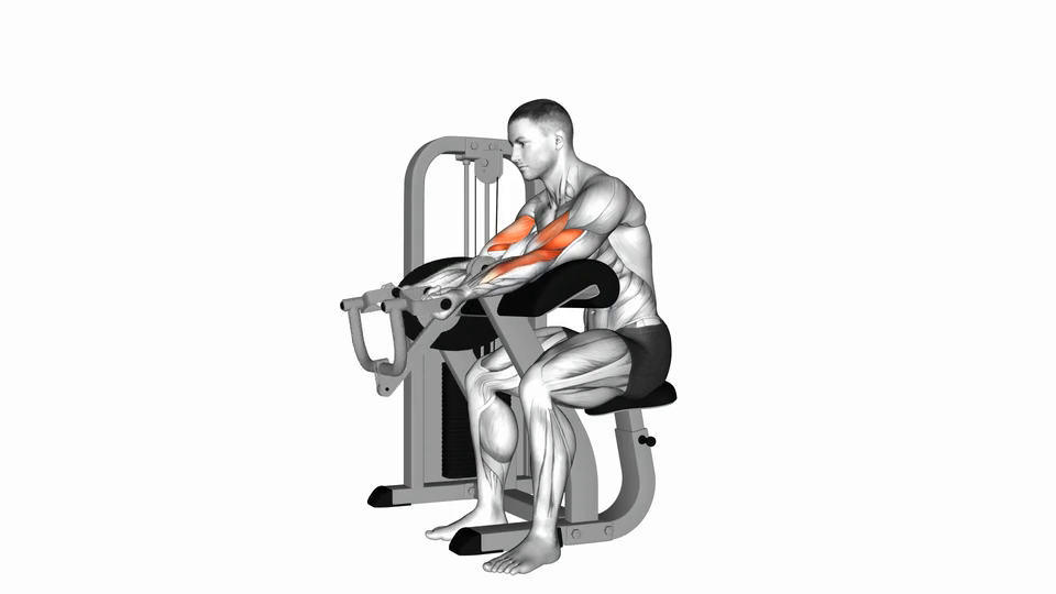 Machine Bicep Curl