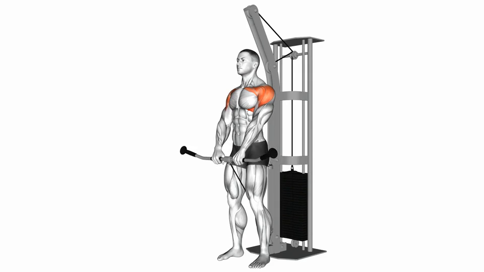 Cable Front Raise