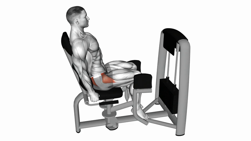 Thigh Abductor