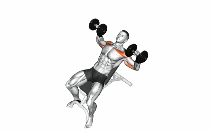 Dumbbell Incline Bench Press